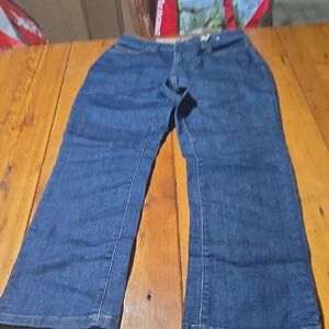 Nwt L L Bean Sz 8p True Shape Stylish Blue Denim Pants
